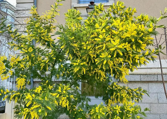 Nyaraló La Parenthese Flechoise,